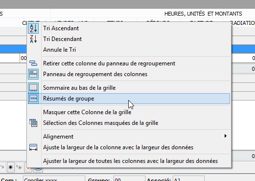 grille_afficher_cacher_sommaire_group